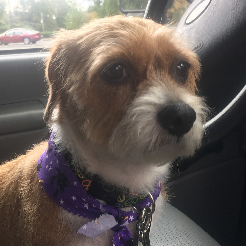 Meet your Posher, Judy